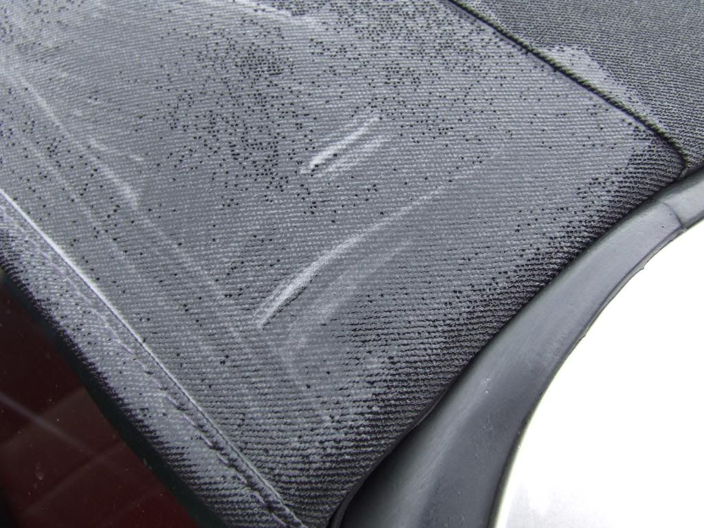 Renovo Vinyl Roof Cleaner. Detailing World Forum